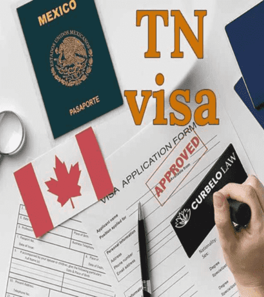 Service Provider of TN Visa in Mysore, Karnataka, India.